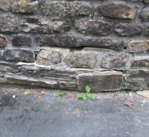 BroskeyWallBefore