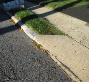 FloodDriveBefore