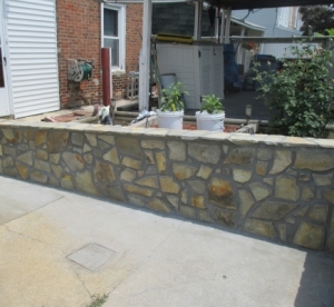 FrankelPostVeneer1