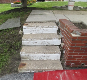 FrankelStepsCorner2Before
