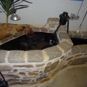 interiorpond2
