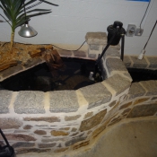 interiorpond2