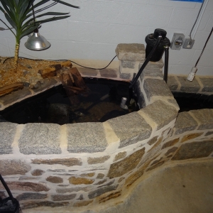 interiorpond2